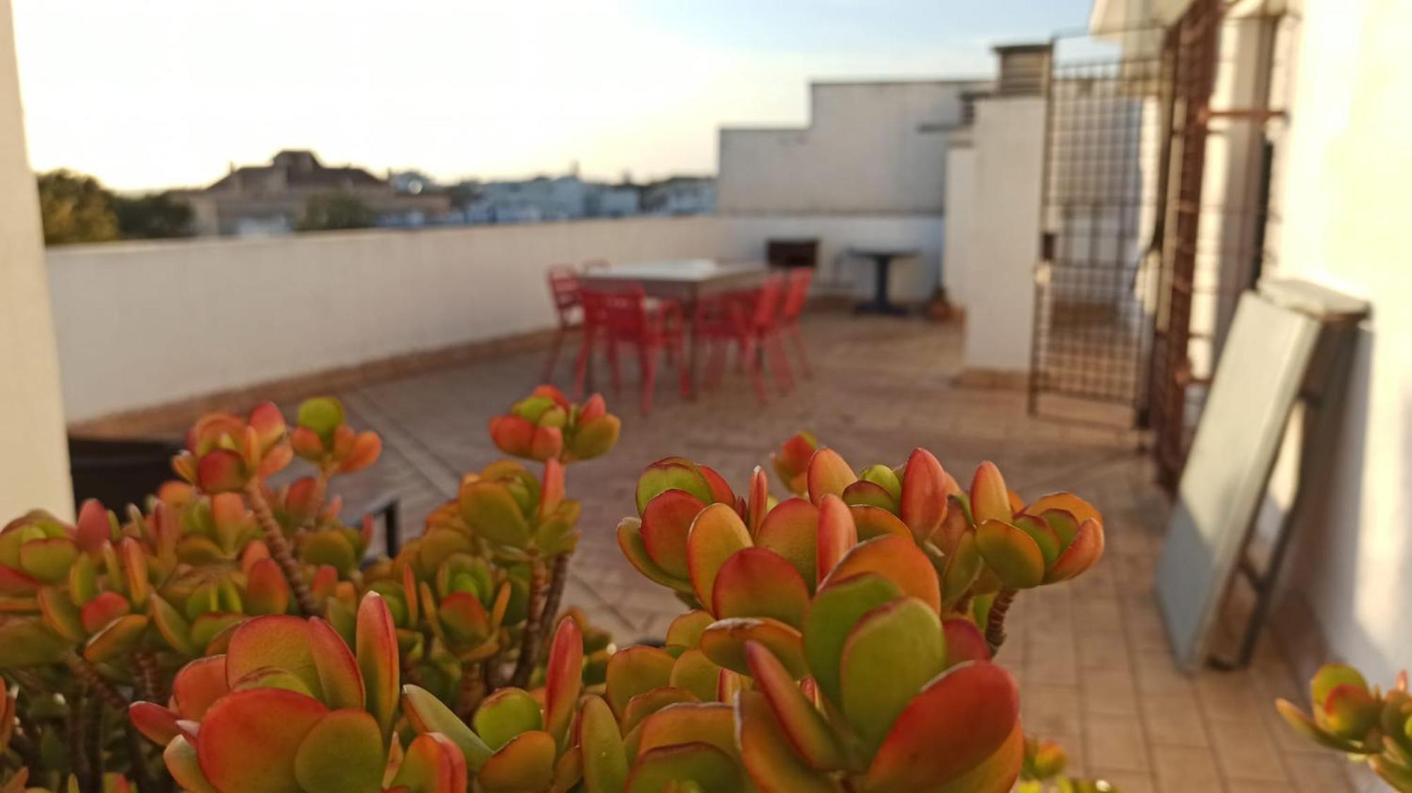 Atardeceres Surenos - Gran Terraza - Parking Jerez de la Frontera Esterno foto